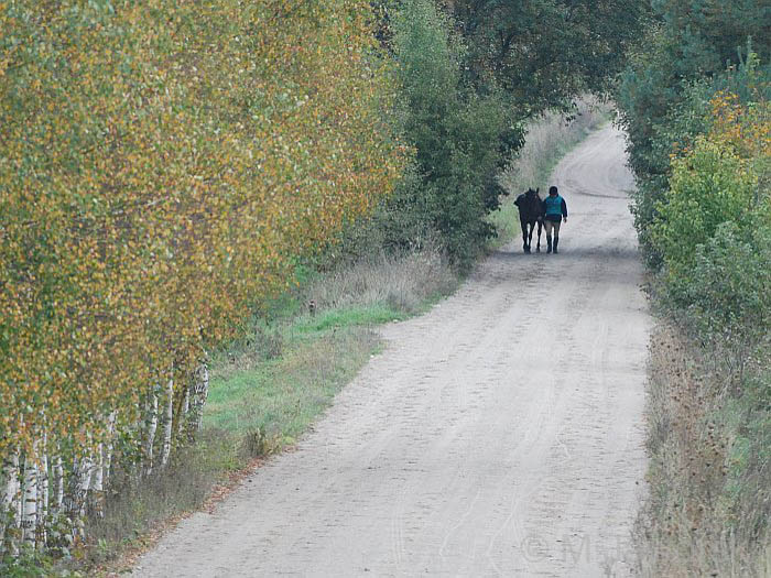 Endurance-Poland(4)