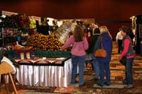 international/USA/2010AERC/gallery/03_tradeshow/thumbnails/IMG_0250.jpg