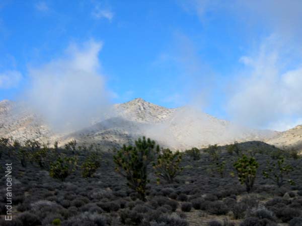 IMG_3359