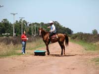 IMG_0327 (119)