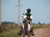IMG_0327 (13)