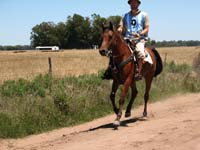 IMG_0327 (133)