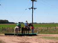 IMG_0327 (139)