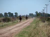 IMG_0327 (140)