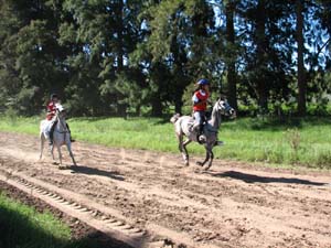 IMG_2270