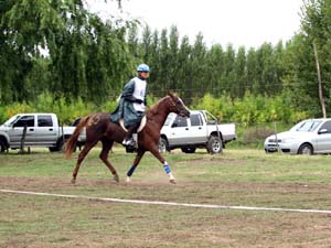 IMG_2674