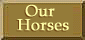Horses owned by VanGilder Arabians
