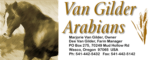 Van Gilder Arabians